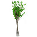 Pack of 6 x 100cm Mini Leaf Ficus Stem