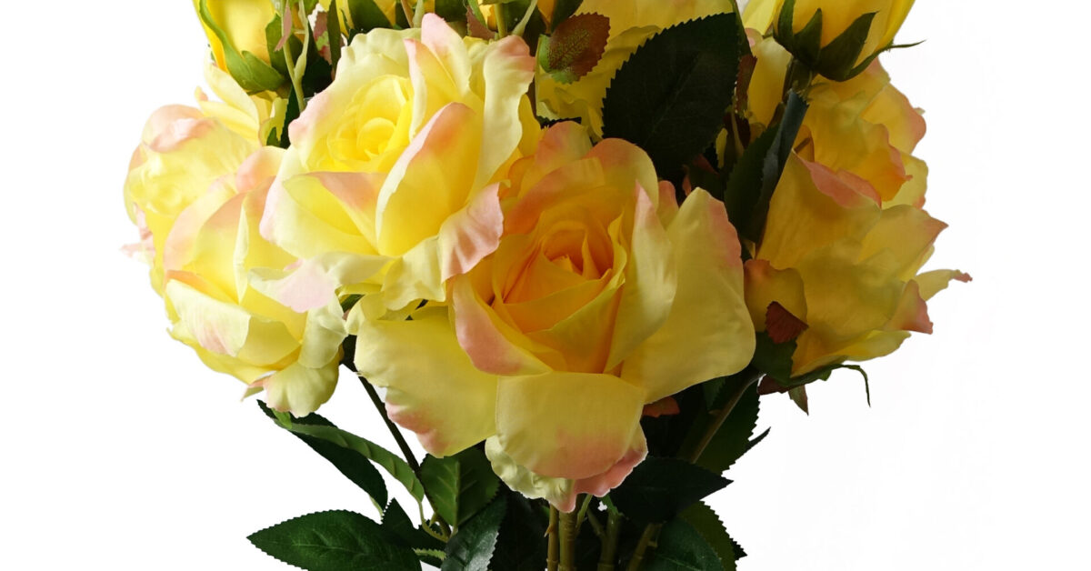 Faux Yellow Rose Stems – Pack of 6 (80cm)