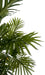 180cm Artificial Tropical Palm Tree