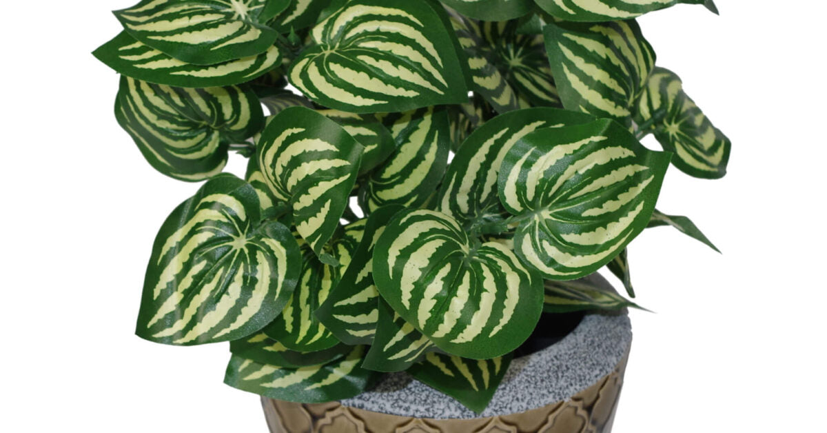 45cm Artificial Watermelon Style Leaves Plant