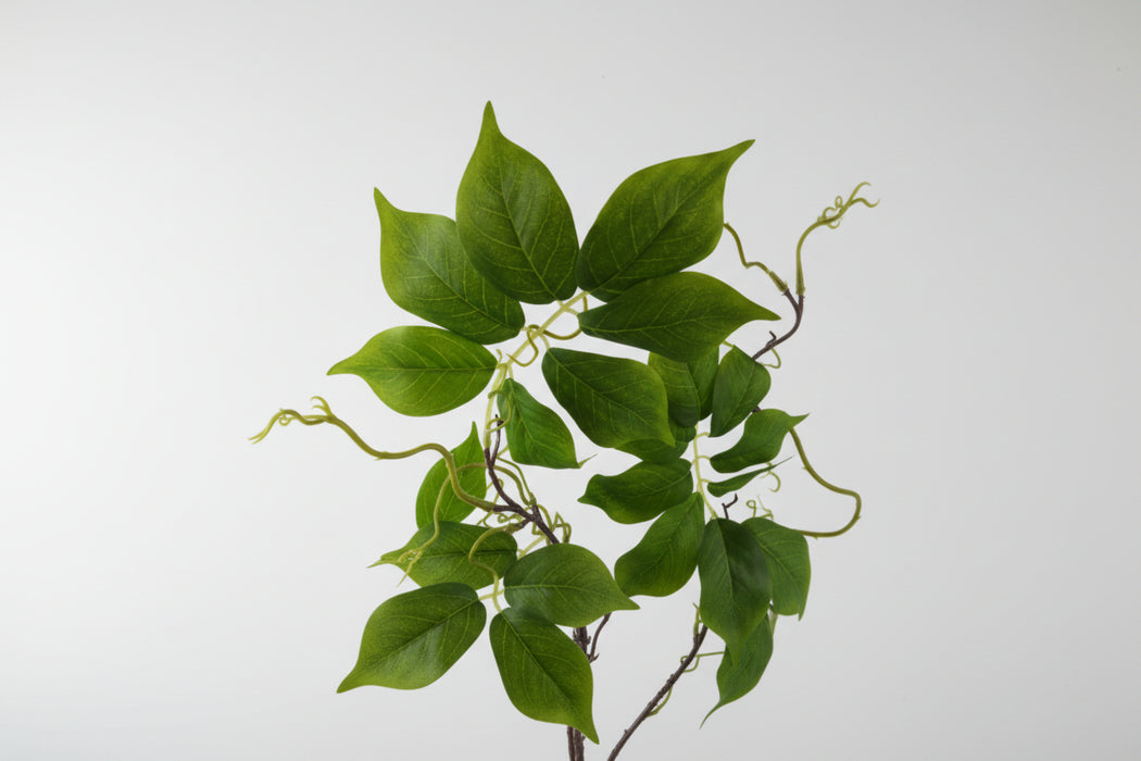 90cm Faux White Wisteria Tree