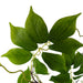 90cm Artificial White Wisteria Bush
