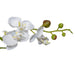 60cm Artificial Luxury Orchid - Triple Stem - White Realistic Plant