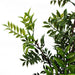 60cm Artificial Nandina Bonsai Ficus Tree