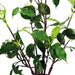 60cm Artificial Banyan Bonsai Ficus Tree