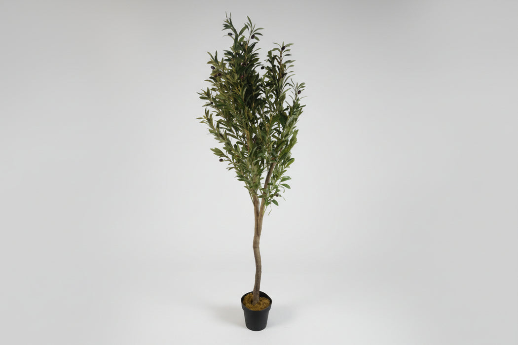150cm Stylish Natural Look Faux Olive Tree with Wooden Trunk