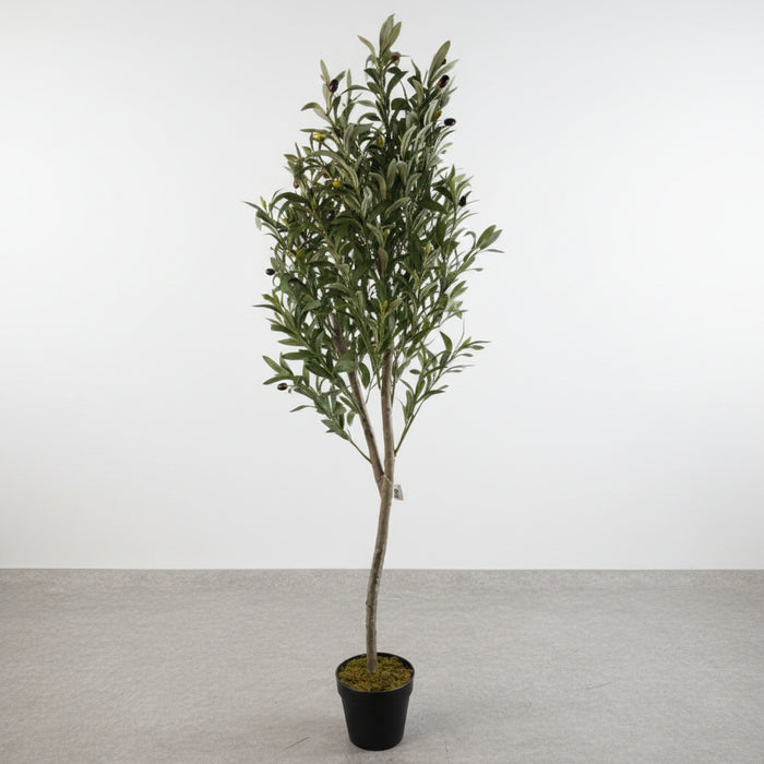 180cm Artificial Natural Look Olive Tree with Wooden Trunk