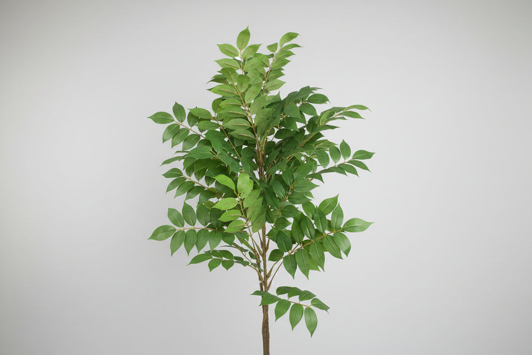 65cm Artificial Toona Sinensis Plant Evergreen