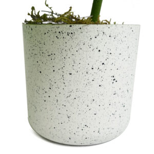 30cm Artificial Variegated Green Potted Monstera Trailing Plant  –...