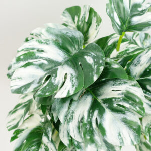 30cm Artificial Variegated Green Potted Monstera Trailing Plant  –...