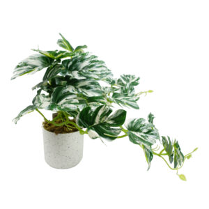 30cm Artificial Variegated Green Potted Monstera Trailing Plant  –...