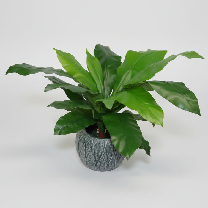 60cm Bushy Large Faux Bird’s Nest Fern Plant