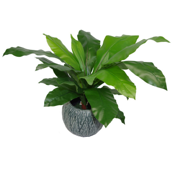 60cm Bushy Large Faux Bird’s Nest Fern Plant