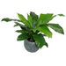 60cm Bushy Large Artificial Birds Nest Fern Plant