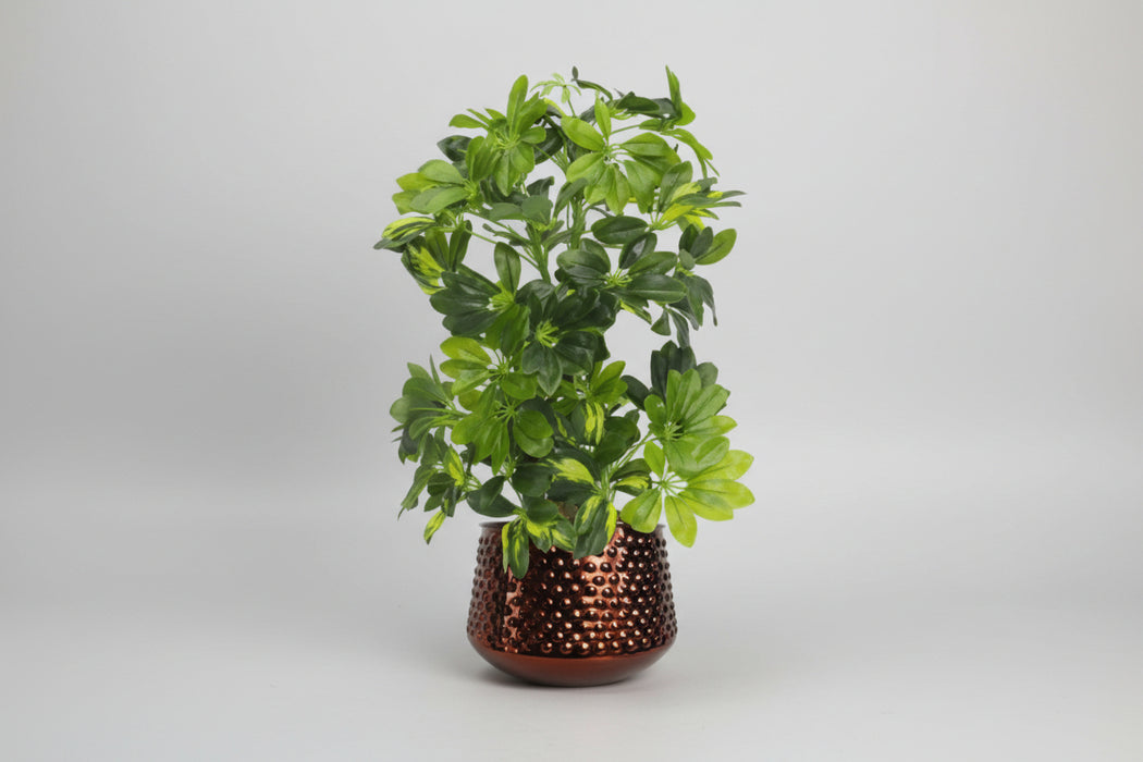 18cm Antique Copper Metal Planter