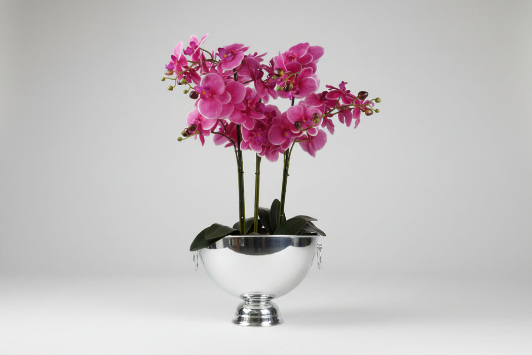 29cm XL Silver Champagne Bowl Metal Planter