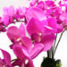 85cm Artificial Deluxe Bush Orchid - Dark Pink with Black Pot