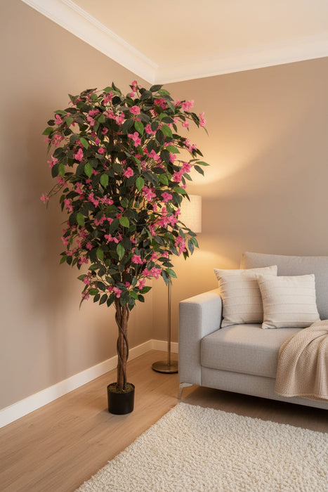 180cm Giant Pink Flowering Bougainvillea Tree