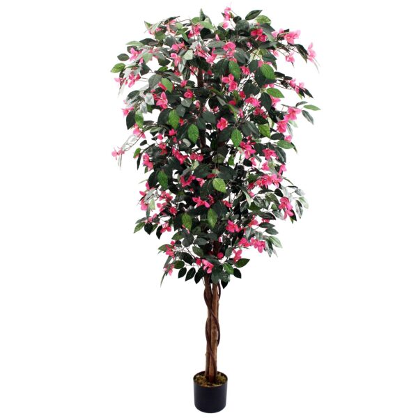 180cm Giant Pink Flowering Bougainvillea Tree