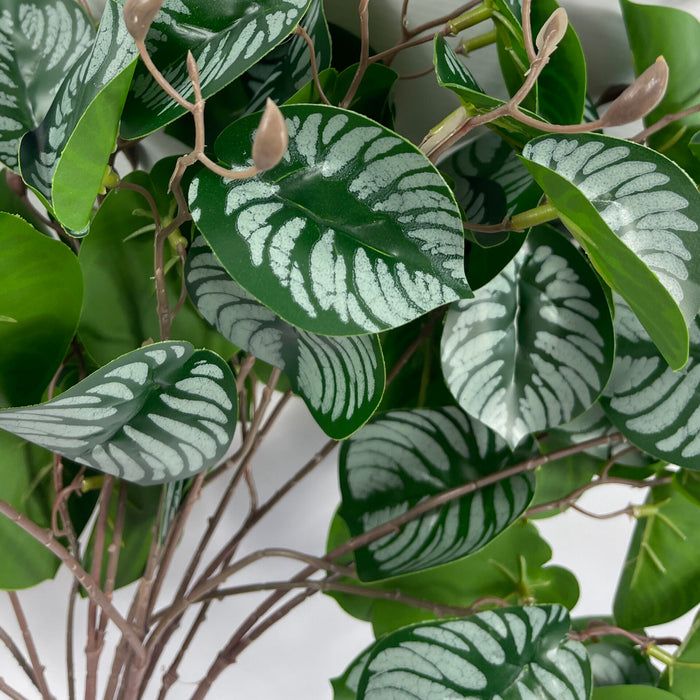 70cm Artificial Zebra Foliage