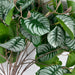 70cm Artificial Zebra Foliage