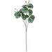 Pack of 6 x 70cm Artificial Zebra Foliage