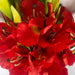 115cm Artificial Orange Gladioli Stem