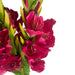 Pack of 6 x 115cm Artificial Pink Gladioli Stem
