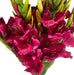 Pack of 6 x 115cm Artificial Pink Gladioli Stem