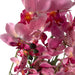 150cm Artificial Pink Orchid Potted Display Artificial