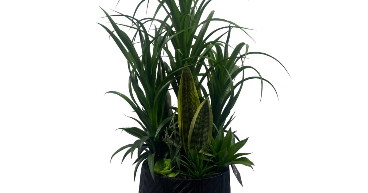 100cm Artificial Yukka Display in Pot Artificial