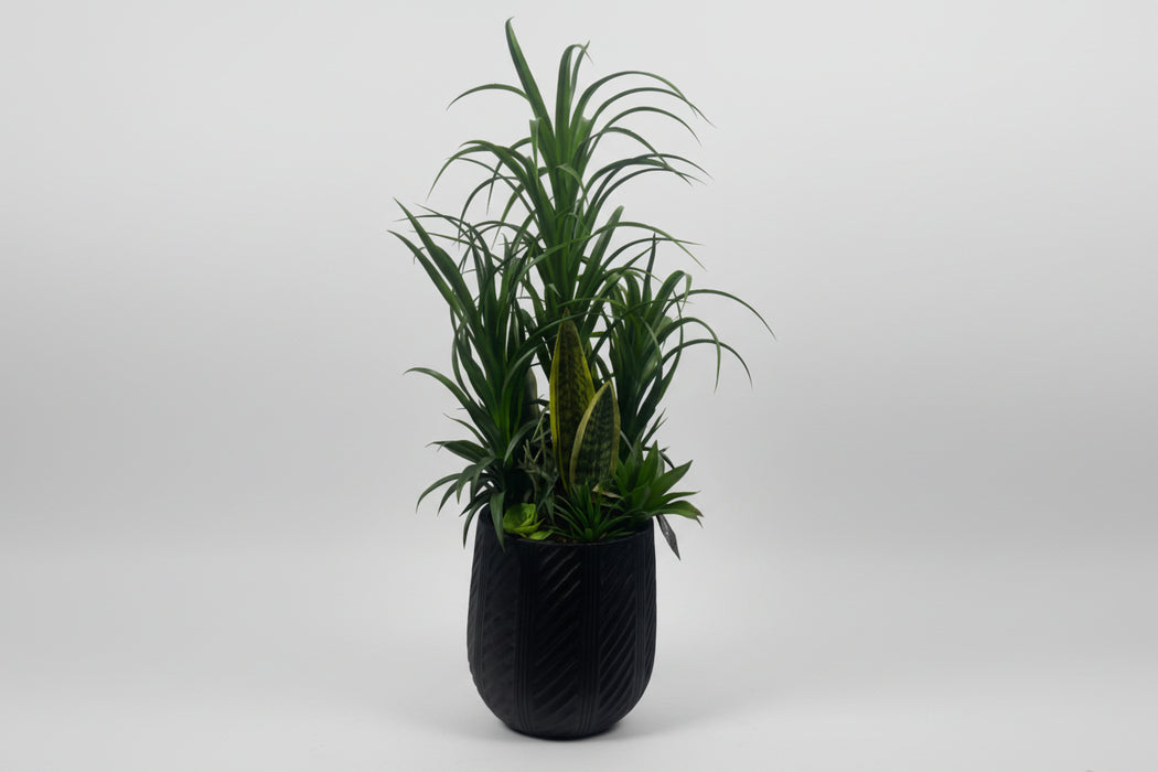 100cm Artificial Yukka Display in Pot Artificial