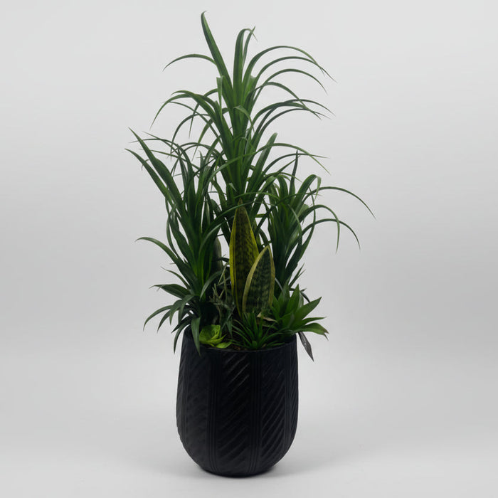 100cm Yukka Tree Display in Pot