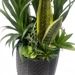 100cm Artificial Yukka Display in Pot Artificial