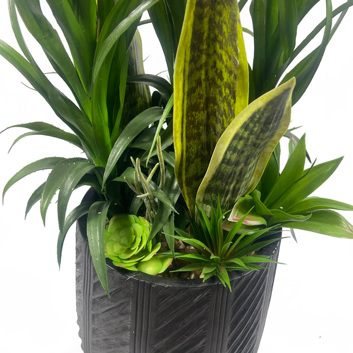 100cm Yukka Tree Display in Pot