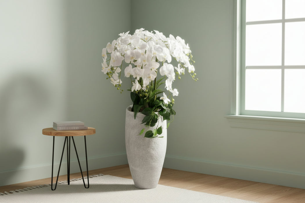 150cm Stunning White Orchid Potted  Display