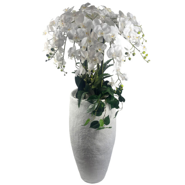 150cm Stunning White Orchid Potted  Display