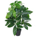 50cm Artificial Money Tree Plant