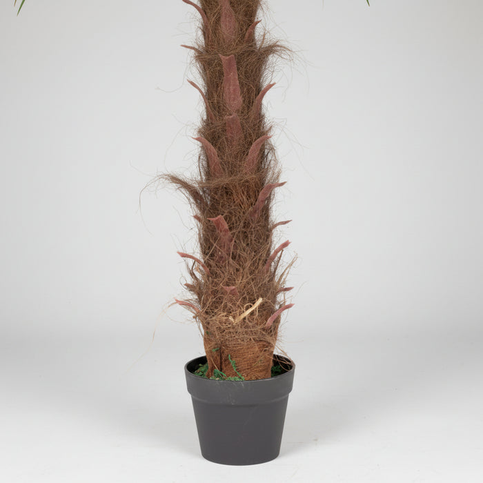 100cm Princess Palm Tree – Detailed Realistic Brown Trunk