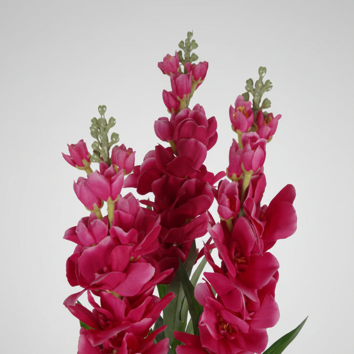 100cm Faux Cymbidium Orchid Plant – Extra Large