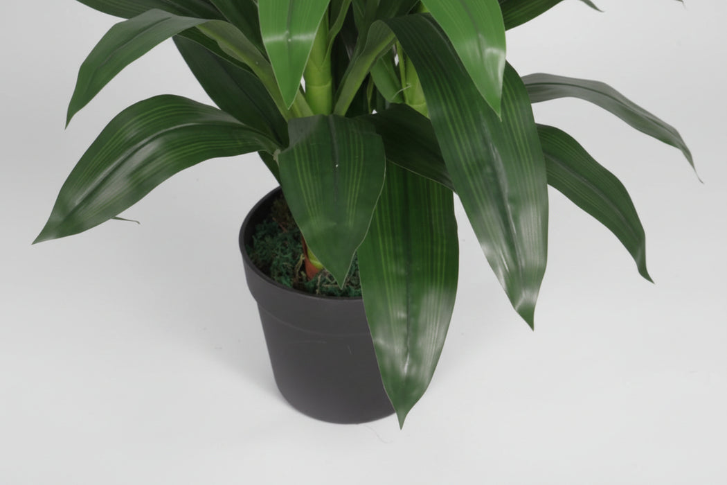 100cm Faux Cymbidium Orchid Plant – Extra Large
