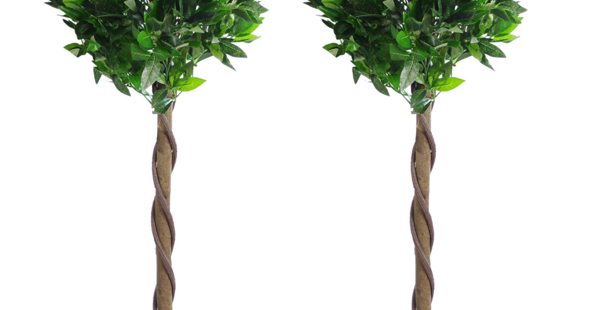 Pair of 120cm (4ft) Twisted Stem Artificial Topiary Bay Laurel