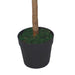 90cm (3ft) Plain Natural Trunk Artificial Topiary Bay Laurel Ball Tree