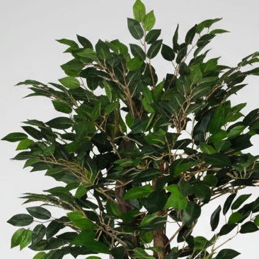 90cm Artificial Ficus Dark Tree