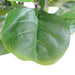90cm (3ft) Large Artificial Fiddle Fig Tree Ficus Lyrata Plant
