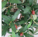 90cm Artificial Olive Bay Style Topiary Fruit Tree