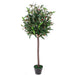 90cm Artificial Olive Bay Style Topiary Fruit Tree