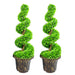 90cm Pair of Green Large Leaf Spiral  Topiary Trees with Decorative Planters