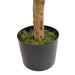 100cm Artificial Dracaena Plant Tree with Pot - Premium Range