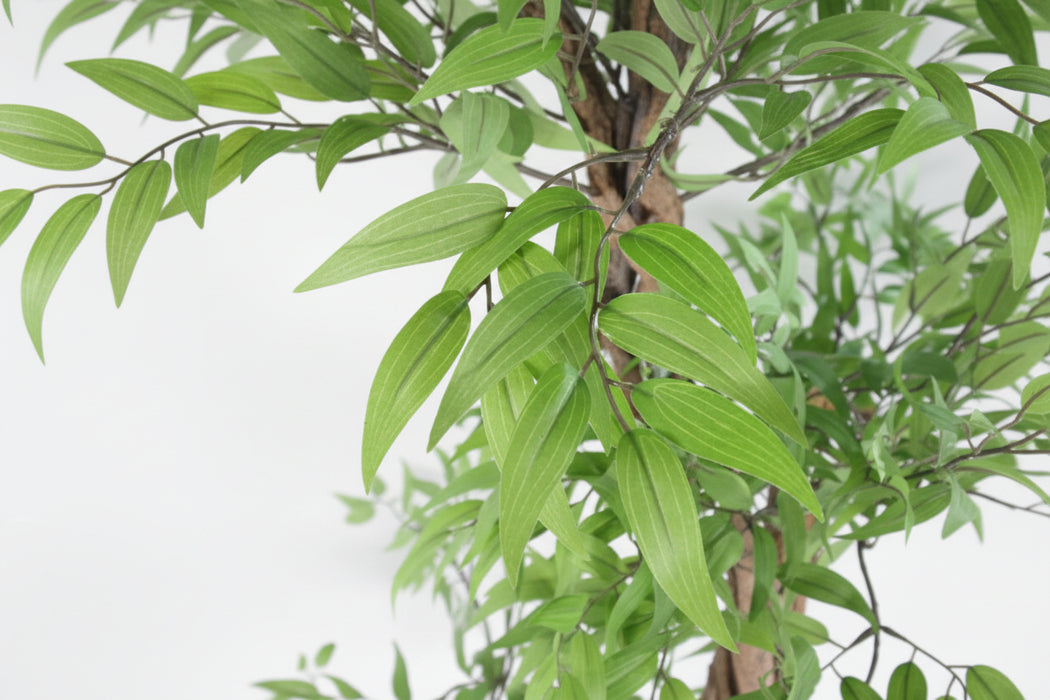 140cm Realistic Faux Japanese Fruticosa Ficus Tree